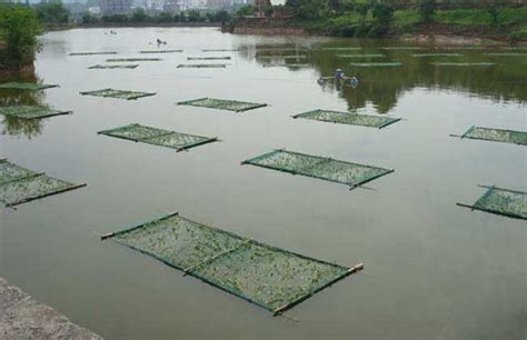 重庆高硕科技有限公司,鱼塘底部用水泥还是用土工膜及 施工方法与技巧