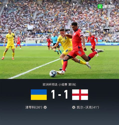 英格兰队被乌克兰队淘汰，会不会找裁判理由_东方体育