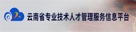 云南省专业技术人才管理服务信息平台
