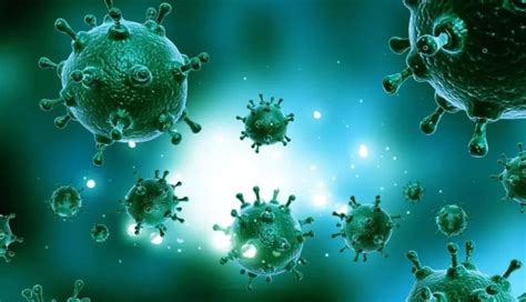 多国研究发现新冠病毒早已存在