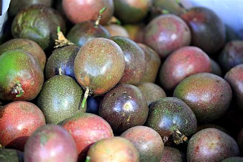 热带水果,多样,木瓜,丰富,水果,杏,多汁的,熟的,奇异果-水果,分离着色摄影素材,汇图网www.huitu.com