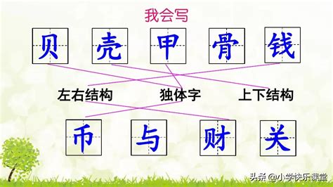 夏代已经使用贝币骨筷-河南省文物局