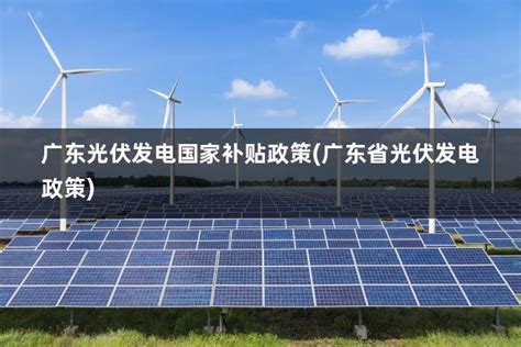 广东省单体容量最大的光伏项目并网发电--广东省国资委-太阳能发电网