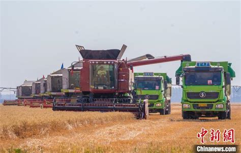 【大国“粮”策】河南小麦大规模机收基本结束 收获面积逾8500万亩_深圳新闻网