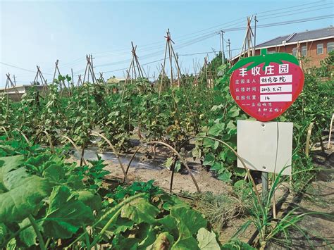 银川市金凤区全力保障辖区商超、蔬菜直销店供应渠道畅通-宁夏新闻网