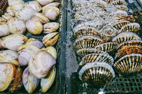 海鲜市场里鲜活的白蛤和扇贝高清图片下载-正版图片501229518-摄图网
