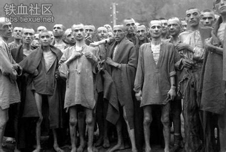 二战纳粹集中营的真实情况|集中营|囚犯|毒气室_新浪新闻