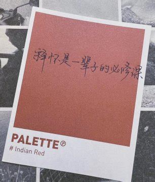 释怀图片