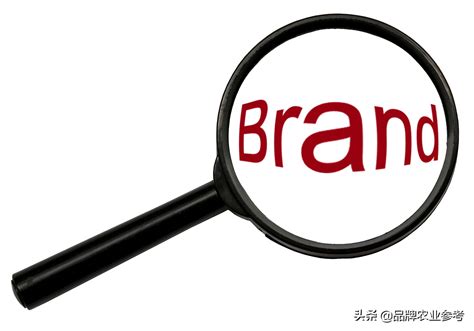 怎样给自己的品牌取名字-起品牌名字的方法有哪些-探鸣起名网