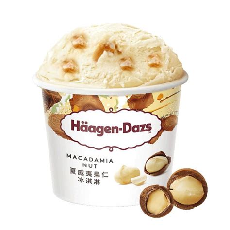 哈根达斯 夏威夷果仁口味 冰淇淋 473ml-商品详情-菜管家