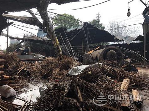 广西柳州一木材加工厂发生锅炉爆炸-木业网