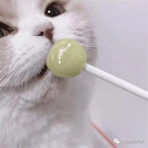 独一无二的你们图片