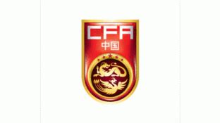 中国足协中国之队标志logo设计,品牌vi设计