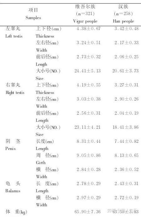 阴茎实图图片