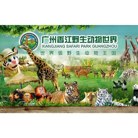 动物园门票设计图__广告设计_广告设计_设计图库_昵图网nipic.com