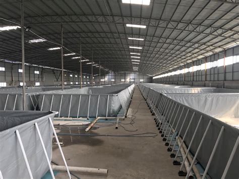 云南昆明室内循环水养殖项目搭建视频_广州环控农业生物科技有限公司