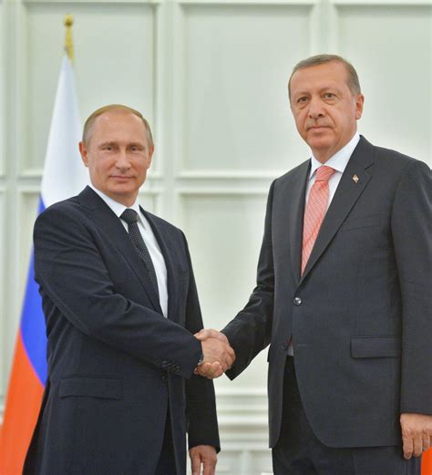 俄土两国总统在巴库举行闭门谈判 - 2015年6月13日, 俄罗斯卫星通讯社