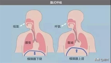 慢阻肺患者的气为什么会陷闭在小气道？学会这种呼吸方法能缓解呼吸困难！-科普头条-看呼吸
