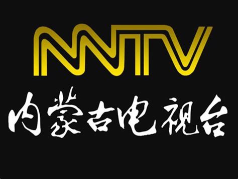 内蒙古电视台HDMI光纤线项目_华光昱能Hangalaxy光纤线和智能翻译机