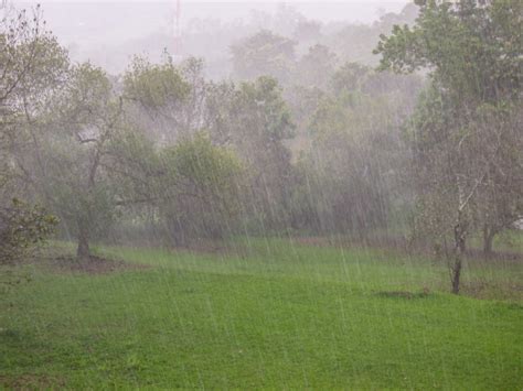 下雨天的森林高清图片下载-正版图片500786402-摄图网