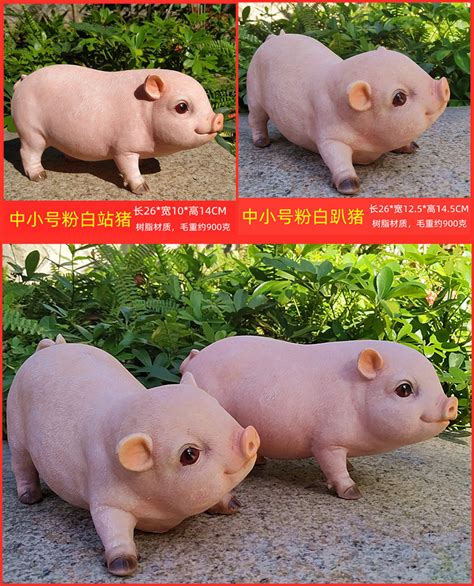 小香猪宠物,一只,大城市(第2页)_大山谷图库