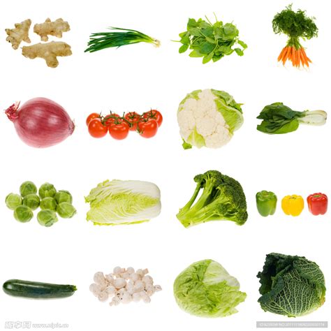 蔬菜种类名称大全（日常蔬菜种类大全图片）_玉环网