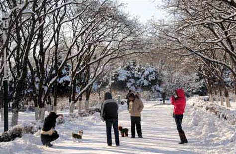 中国长春南湖公园冬季景观,国内旅游景点,旅游景点,摄影,汇图网www.huitu.com