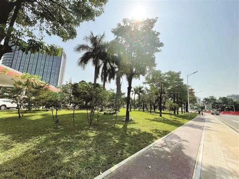 视觉重庆 | 南岸：优化交通环境 提升城市品质 - 重庆日报网