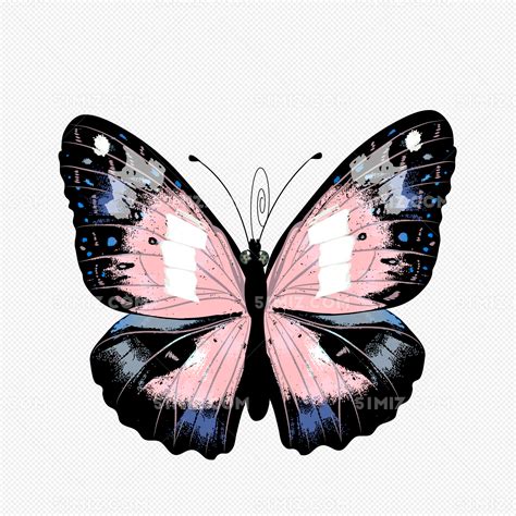 夏天读的蝴蝶绘本：《蝴蝶不一样》