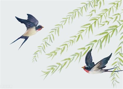 关于春燕最经典的诗句（形容燕子归来春天最美的8首诗）-满趣屋