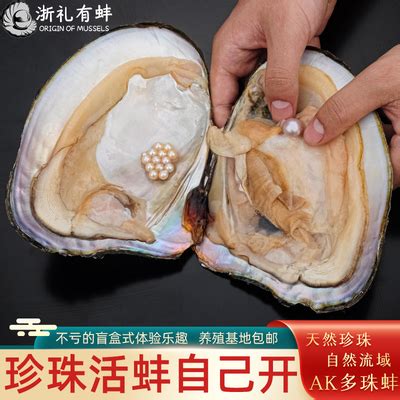 只看外表怎么挑珍珠蚌,(第2页)_大山谷图库