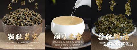 袍
铁观音浓香与清香型对比：烘焙工艺与风味解析