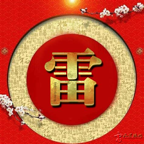 雷姓氏头像非主流