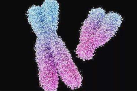 染色体异常会对生育有什么影响？ - 知乎