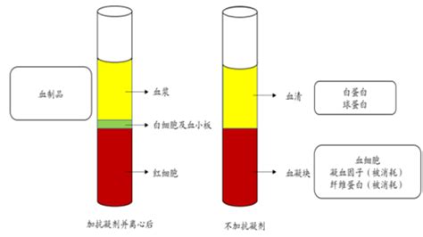 血浆和血清的区别（血清和血浆成分相同吗） – 碳资讯