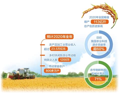 13731亿斤 今年全国粮食总产量稳中有增