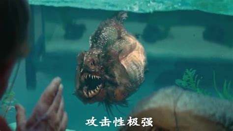 远古食人鱼究竟有多可怕，让游泳圣地的海边，瞬间变成了人间炼狱_腾讯视频