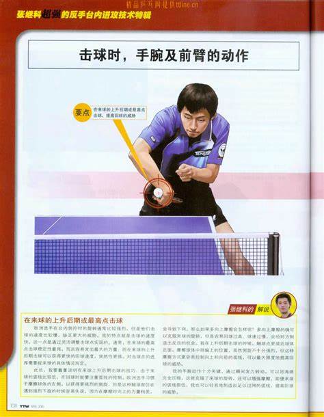 张继科乒乓球赛程2017