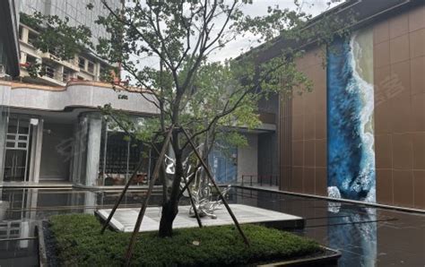 中建·凤榕台动态:雨后的中建凤榕台，绿植加持，空气格外清新-广州安居客