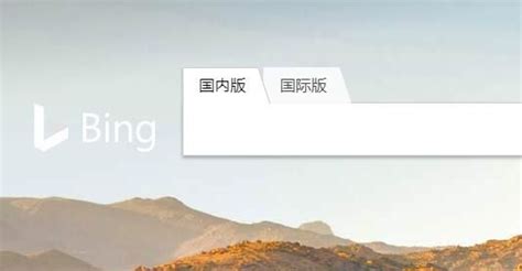 微软 Bing 正式推出国际版，亮点是搭载了小冰|微软|国际版|亮点_新浪新闻