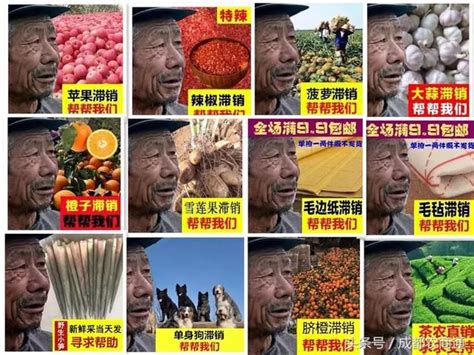 青岛春季农产品“产销对接”洽谈会促成采购意向近2亿元-青报网-青岛日报官网