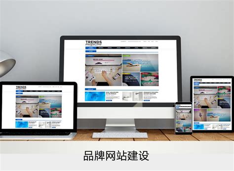 Litiot 品牌网站建设案例-智火建站
