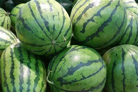 全国哪里的西瓜最好吃？经过评比，这10个地方最有名，有你家乡没_水果_新疆_中国