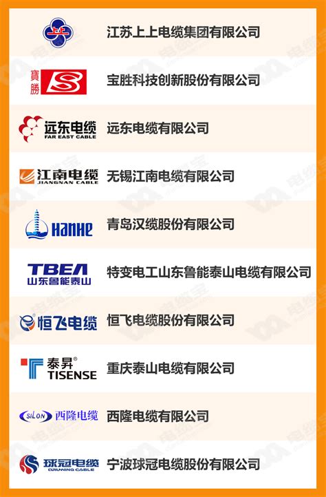 中国十大家装电线品牌 宝胜、远东与上海熊猫上榜 - 手工客