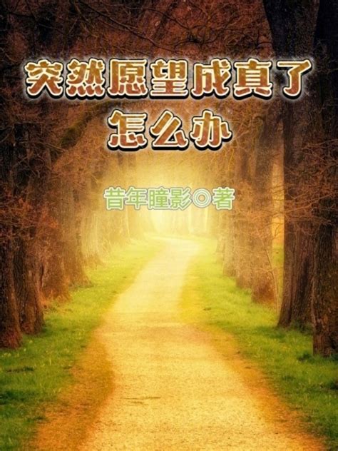 《心愿归宿》小说在线阅读-起点中文网