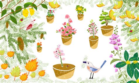 9个有趣的植物小知识 - 植物常识 - 花果之家