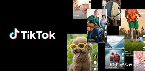 启航2021 — TikTok营销攻略 - DLZ123独立站导航 - 跨境电商独立站品牌出海
