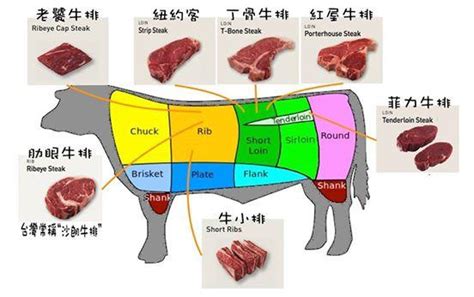 牛排部位图解图片