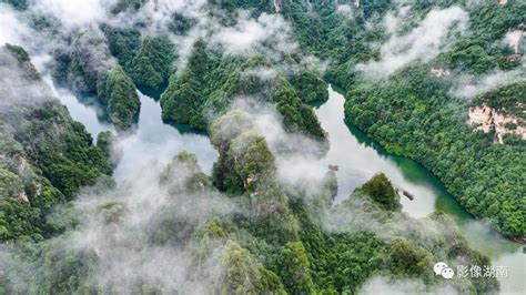 张家界的山是独一无二绿色高山的，一根根的十分拔地而起，雄伟壮观。中国只有湖南有，湖南只有张家界有。|ZZXXO