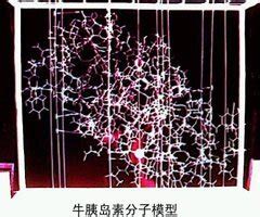 党史日历（9月17日）丨中国在世界上首次人工合成结晶牛胰岛素_京报网